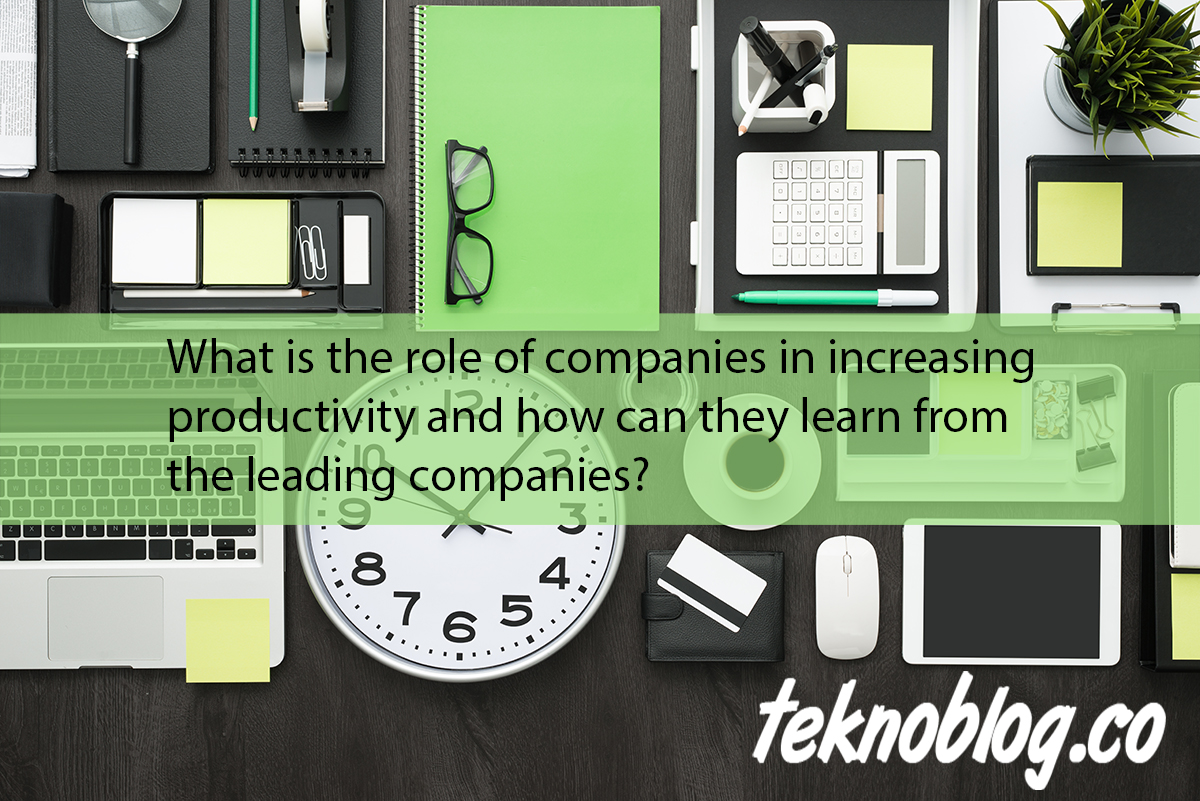 What is the role of companies in increasing productivity and how can they learn from the leading companies?