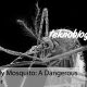 Deadly Mosquito: A Dangerous Vector